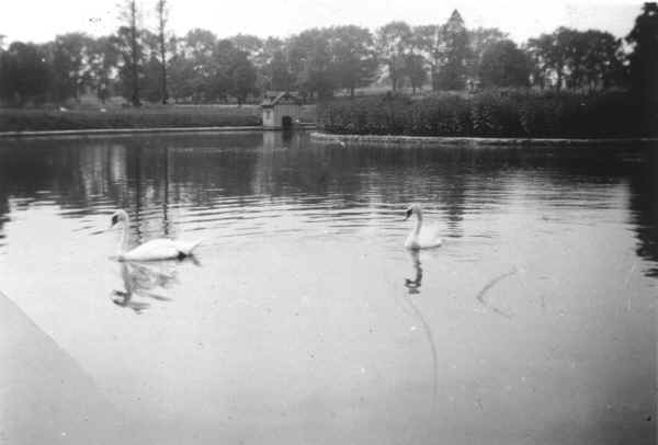 Chester Rural Cemetery Lake 1917; Photo courtesy of Tom Bulger